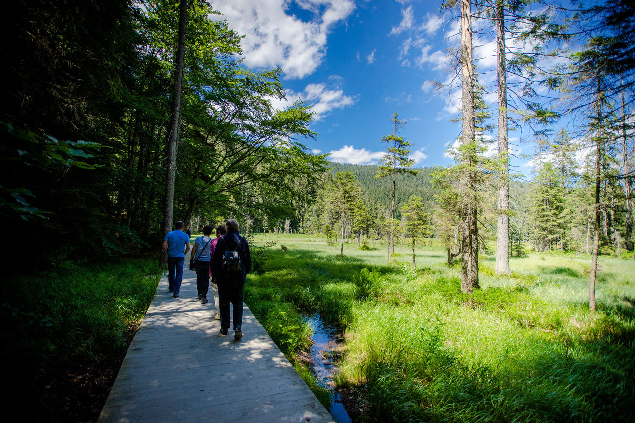 Sommer - Aktivurlaub Im Gasthof Meindl In Arrach Im Bayerischen Wald